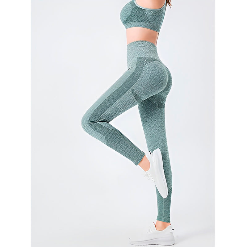 Conjunto Esportivo Feminino Cintura Alta Levanta Bumbum